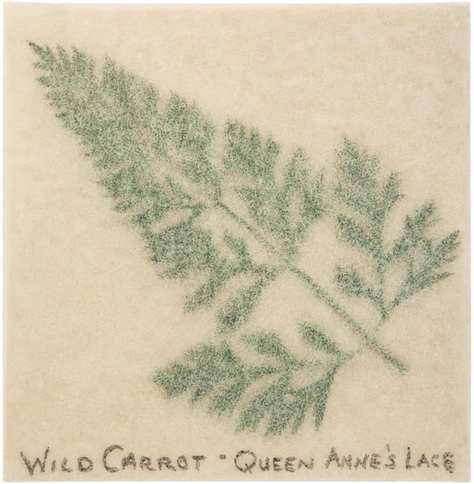 A delicate quill pen drawing a flowing ink line across the page.